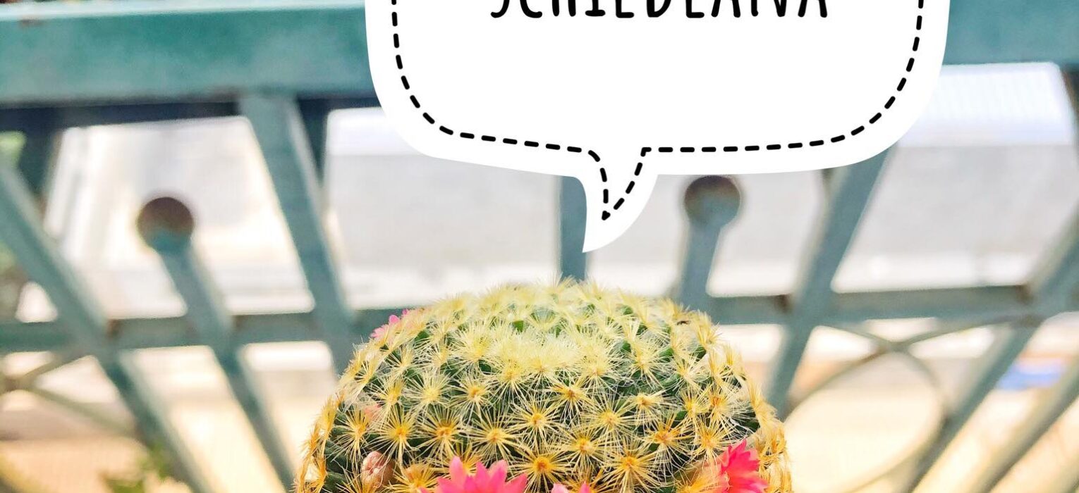 Featured Image