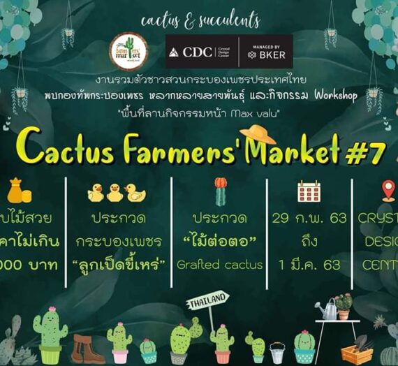 งาน CACTUS Farmer’s Market 2020